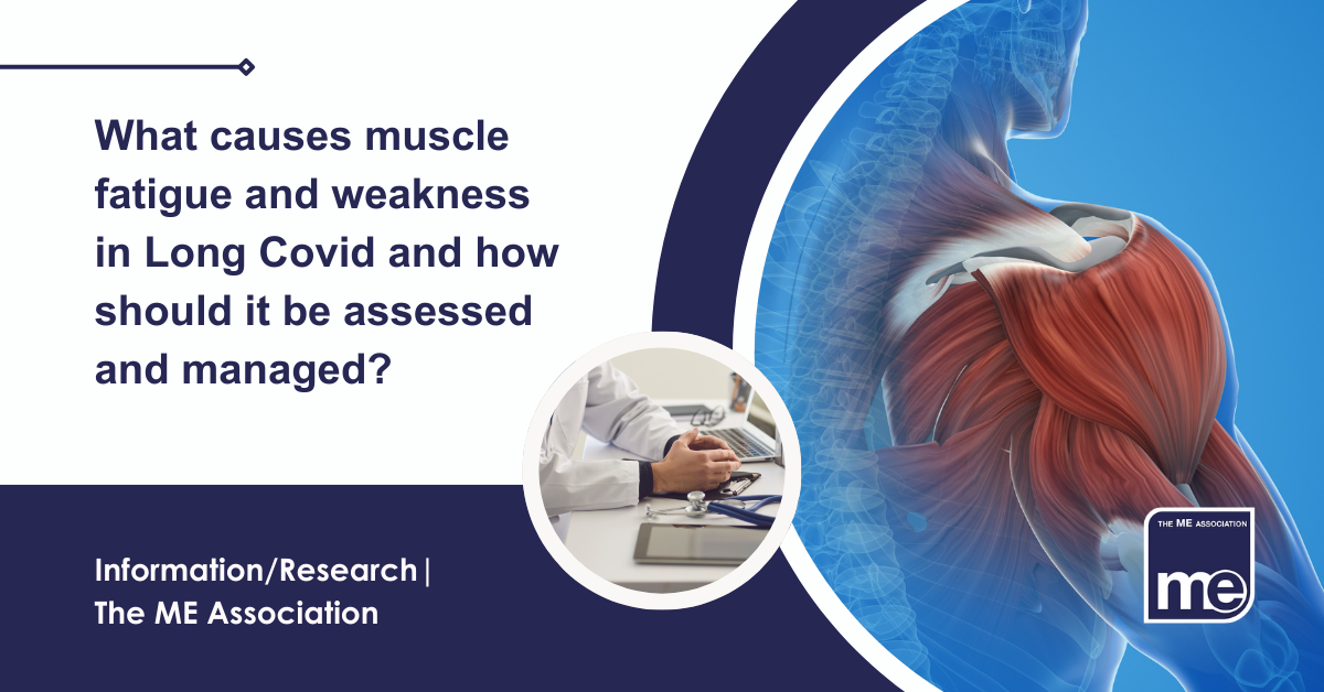 IMAGE DESCRIPTION: An image of a human body showing muscles with a circular image of a GP in a primary care setting. Title: What causes muscle fatigue and weakness in Long Covid and how should it be assessed and managed? The ME Association Logo (bottom right).