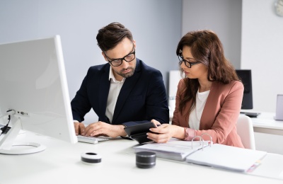 Professional couple doing their finances