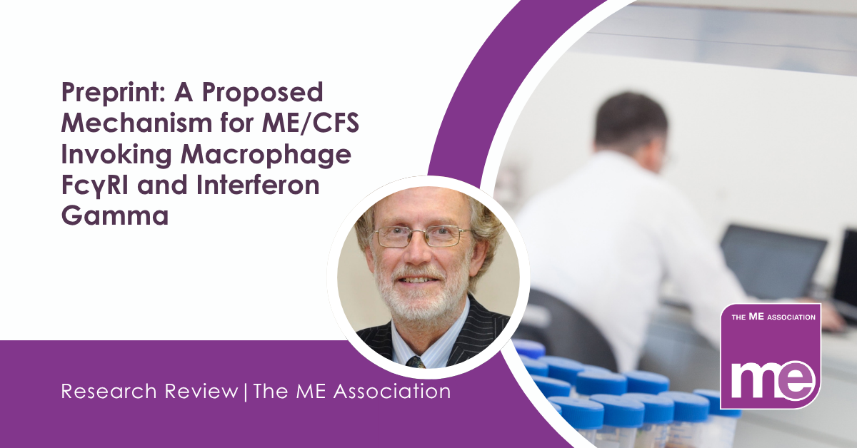 IMAGE DESCRIPTION: A researcher reviewing data on the computer. Title: Preprint: A Proposed Mechanism for ME/CFS Invoking Macrophage FcγRI and Interferon Gamma. The ME Association Logo (bottom right).