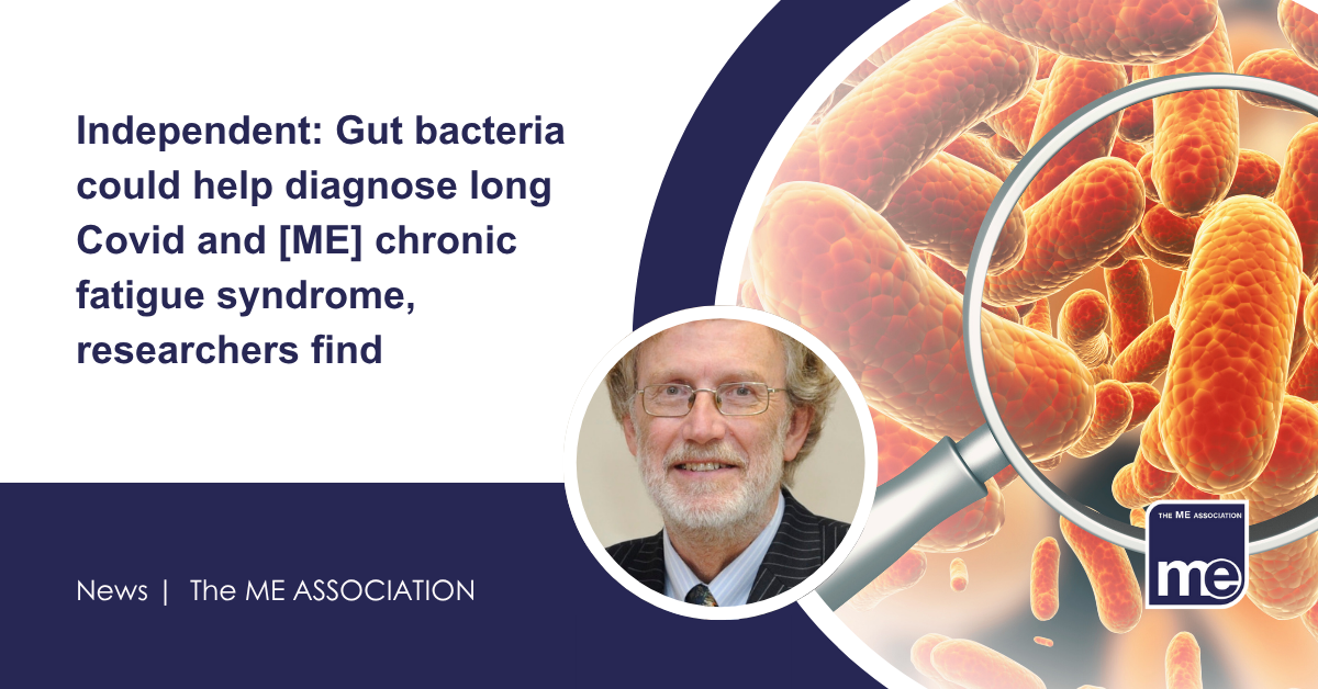 IMAGE DESCRIPTION: An image of gut bacteria and a magnifying glass. Title: Independent: Gut bacteria could help diagnose long Covid and [ME] chronic fatigue syndrome, researchers find. The ME Association Logo (bottom right).