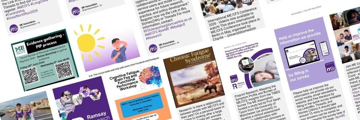 thumbnail preview of social media wall