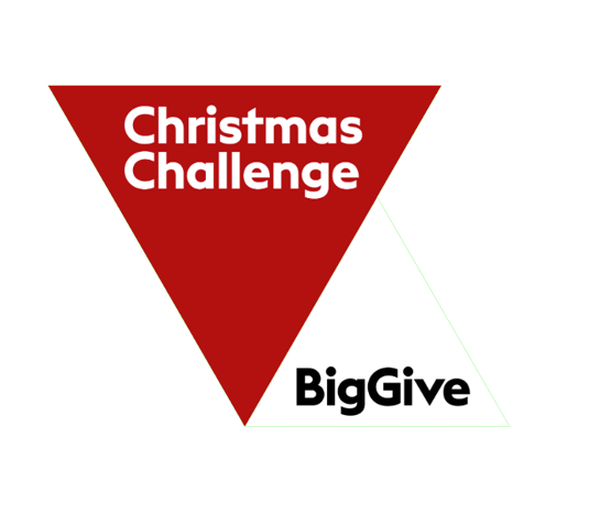 Big Give Christmas Challenge logo