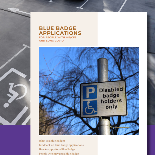 Blue Badge leaflet cover showing parking symbol