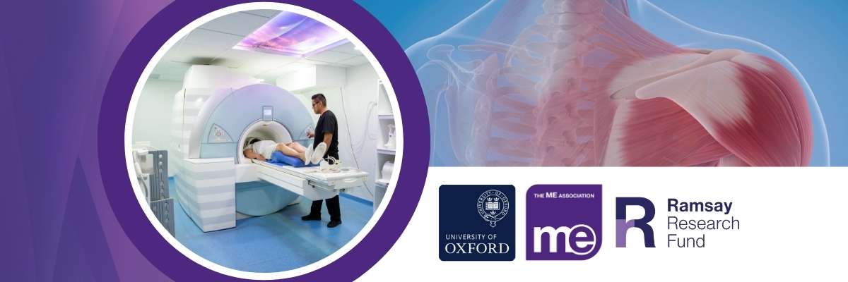 IMAGE DESCRIPTION: Photo of someone having an MRI scan. Graphic depicting the bodies muscles. Logos: ME Association, Ramsay Research Fund, University of Oxford