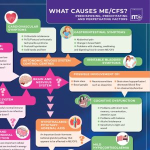 What causes MECFS poster preview