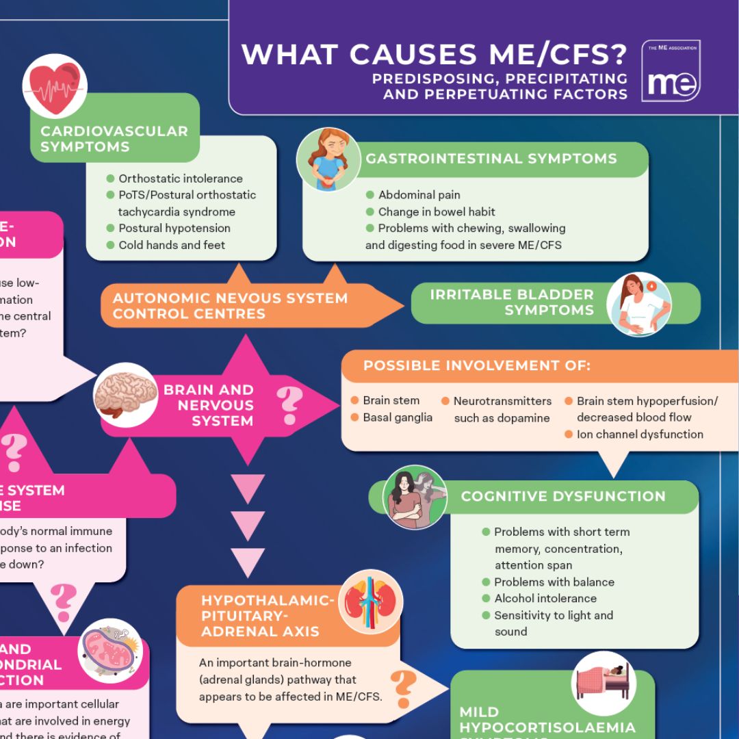 What causes MECFS poster preview
