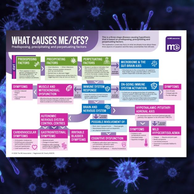 Poster - What causes ME_CFS poster