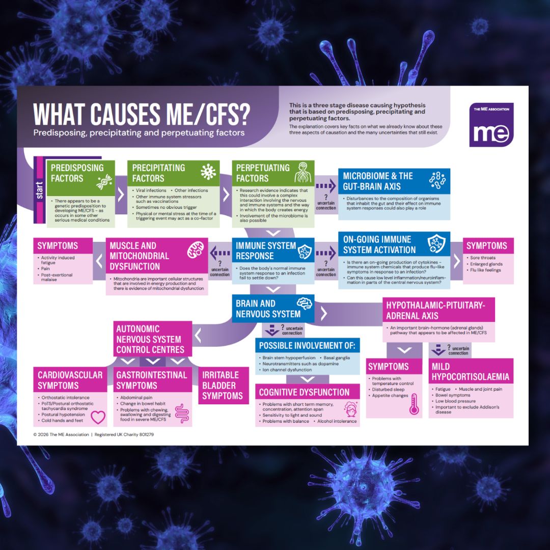 Poster - What causes ME_CFS poster