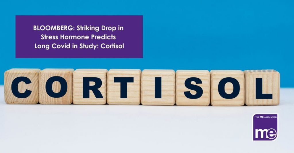 IMAGE DESCRIPTION: An image of building blocks with letter spelling Cortisol. The title of the blog (top left) and the ME Association logo (bottom right)