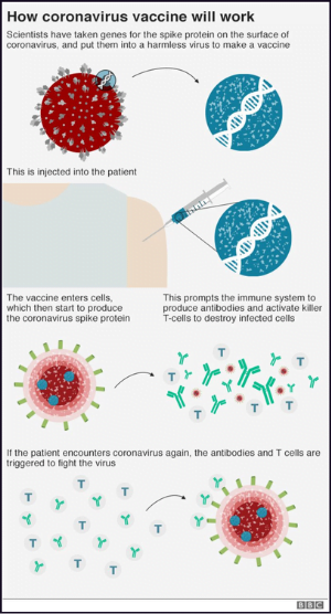 Covid-19 Vaccine Developments & ME/CFS | The ME Association