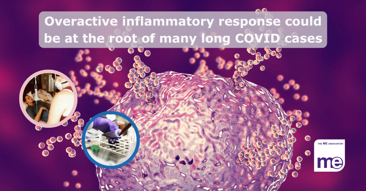 Image description: Image shows an inflammatory response to a blood cell. Inset pictures show a patient lying in bed with ME/CFS and a biochemist carrying out research. The title reads: Overactive inflammatory response could be at the root of many long COVID cases. The ME Association logo (bottom right)
