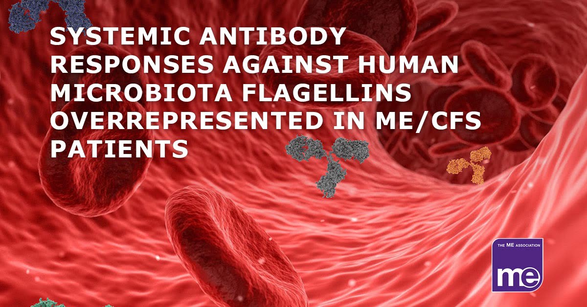 Research antibody response