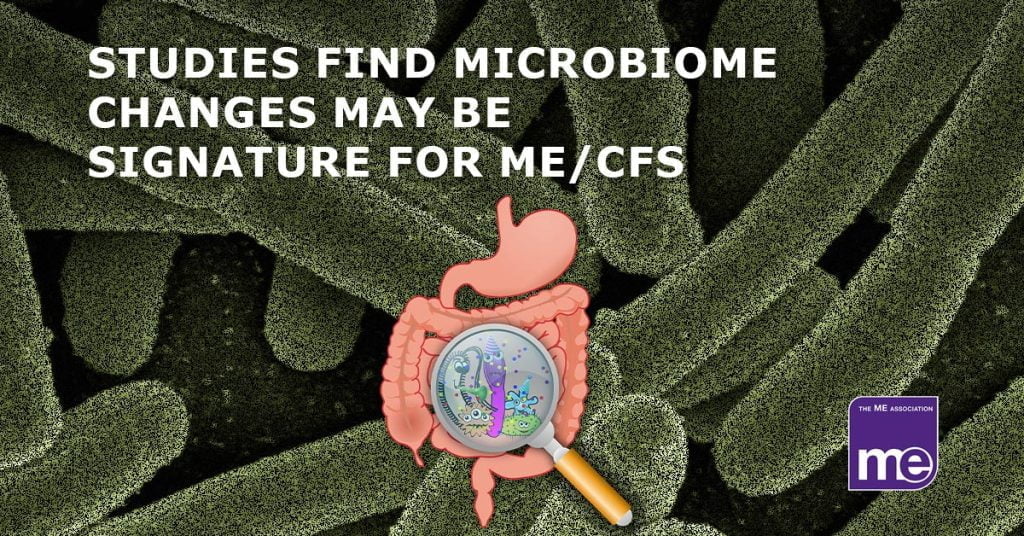Gut bacteria test for ME CFS