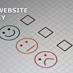 Website survey